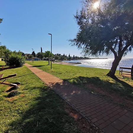 Appartamento App Palcic K Novigrad Istria Esterno foto