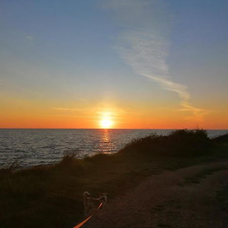Appartamento App Palcic K Novigrad Istria Esterno foto
