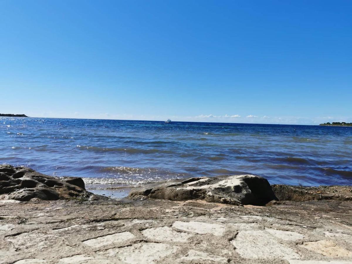 Appartamento App Palcic K Novigrad Istria Esterno foto