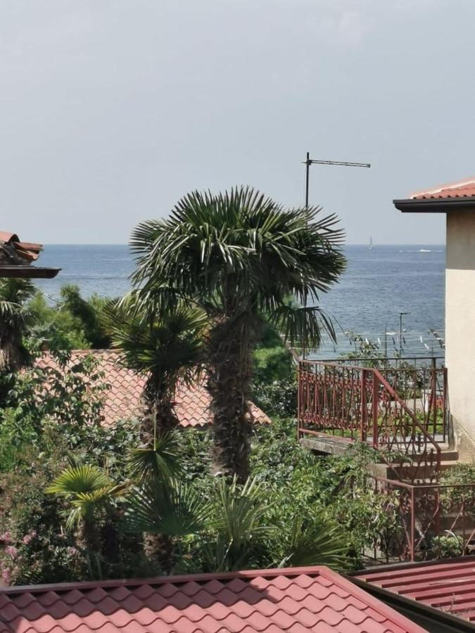 Appartamento App Palcic K Novigrad Istria Esterno foto