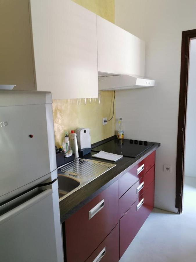 Appartamento App Palcic K Novigrad Istria Esterno foto