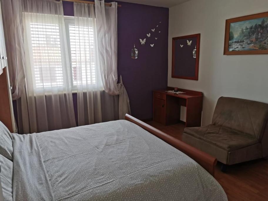 Appartamento App Palcic K Novigrad Istria Esterno foto