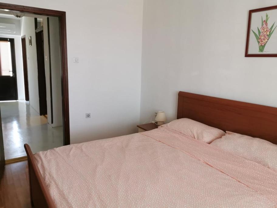 Appartamento App Palcic K Novigrad Istria Esterno foto