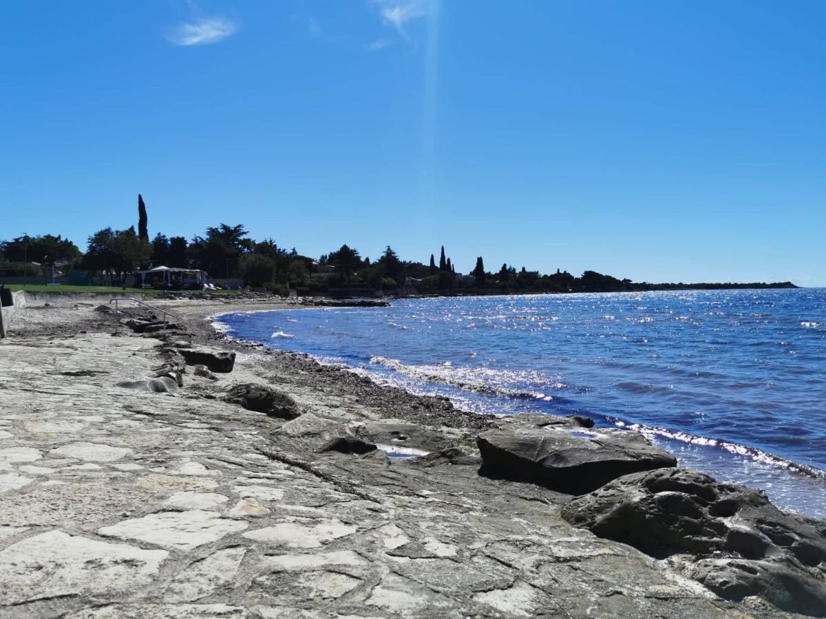 Appartamento App Palcic K Novigrad Istria Esterno foto