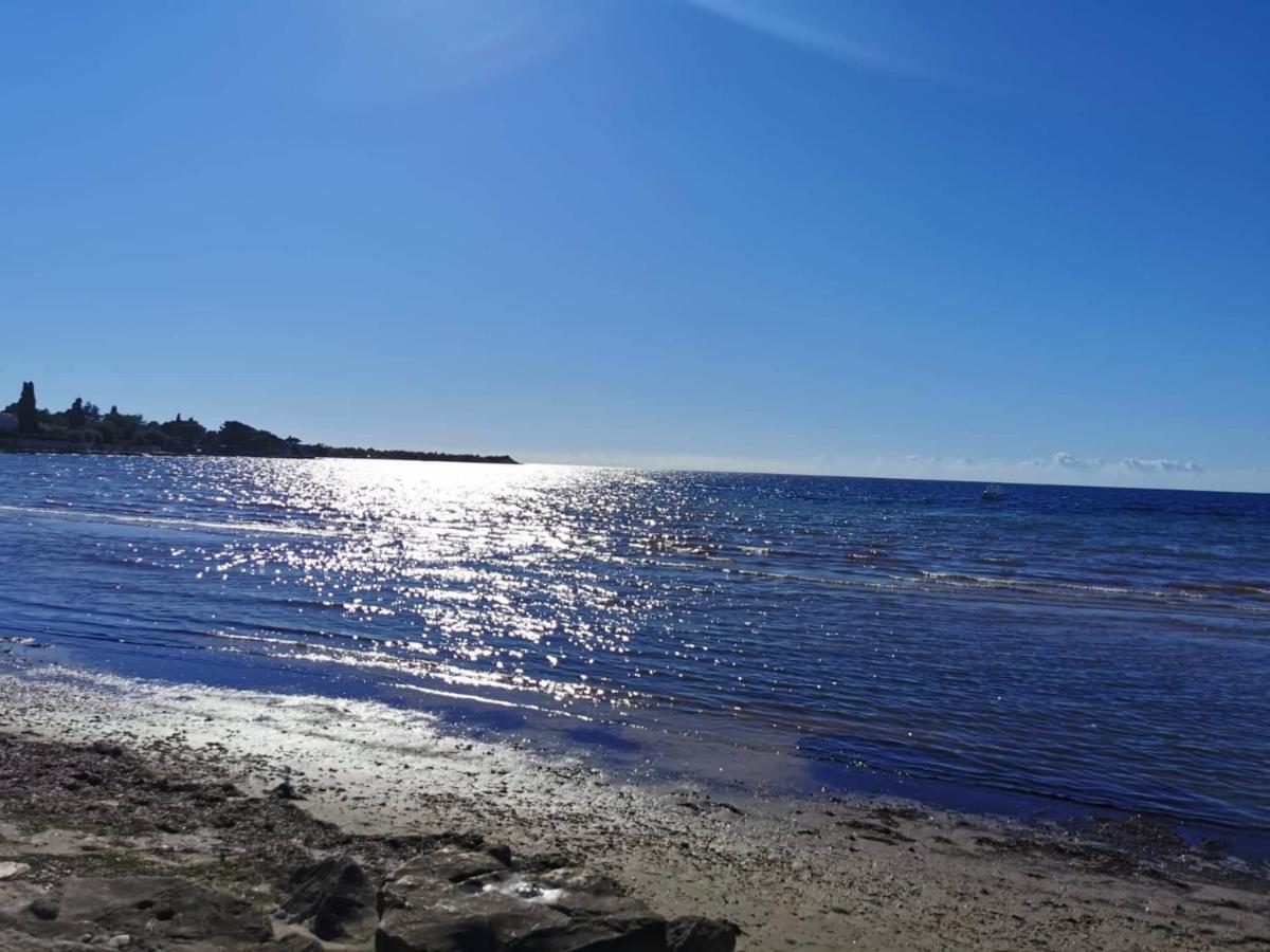 Appartamento App Palcic K Novigrad Istria Esterno foto