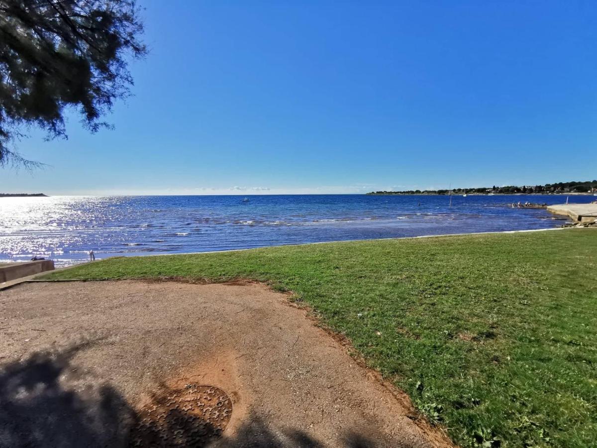 Appartamento App Palcic K Novigrad Istria Esterno foto