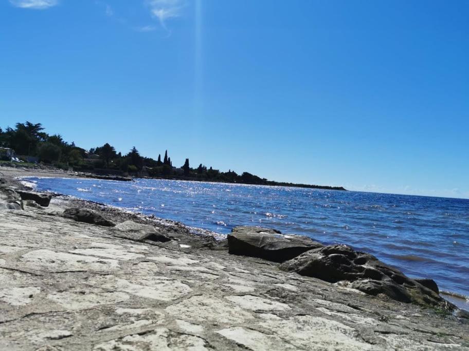 Appartamento App Palcic K Novigrad Istria Esterno foto