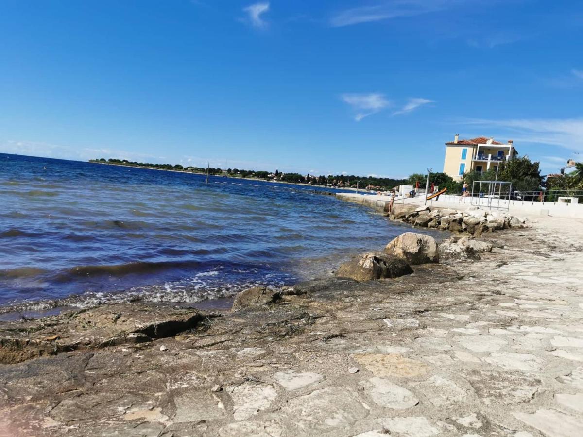 Appartamento App Palcic K Novigrad Istria Esterno foto