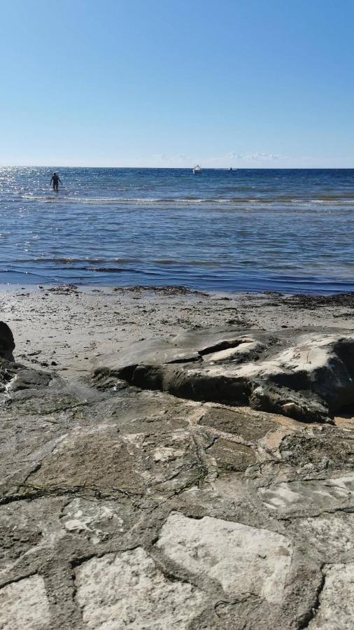 Appartamento App Palcic K Novigrad Istria Esterno foto