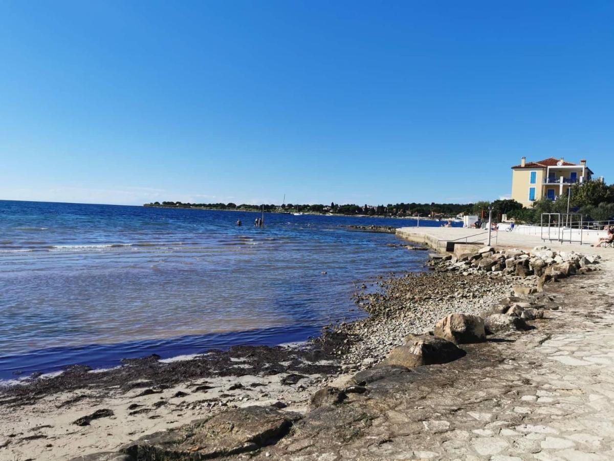 Appartamento App Palcic K Novigrad Istria Esterno foto