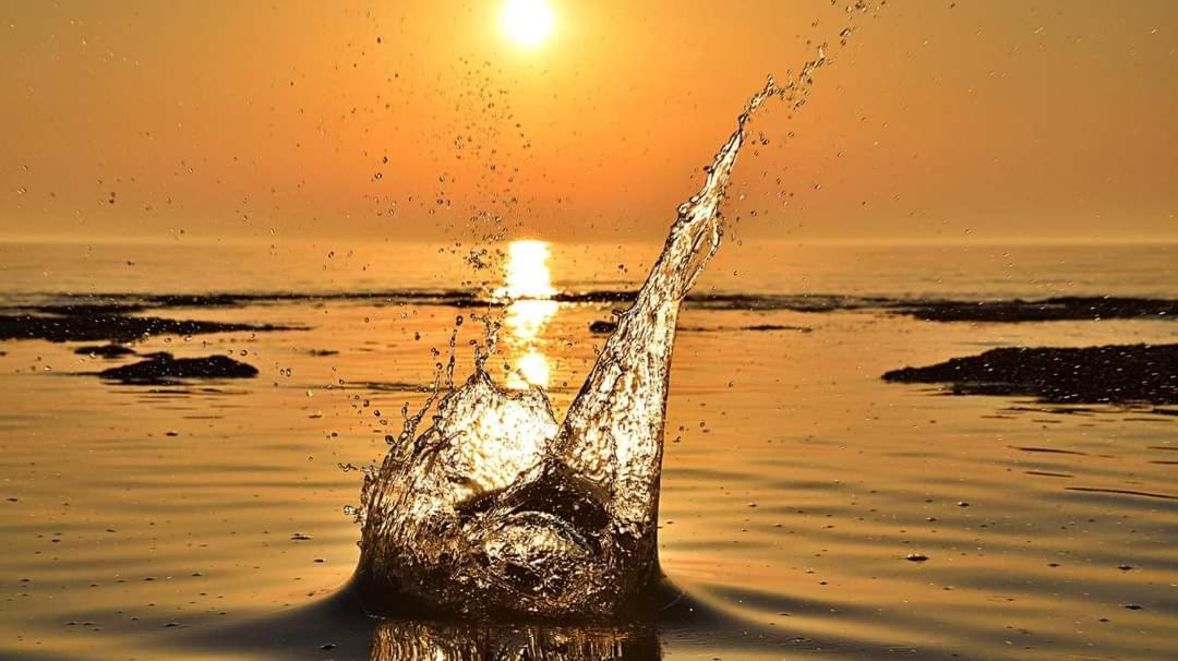 Appartamento App Palcic K Novigrad Istria Esterno foto