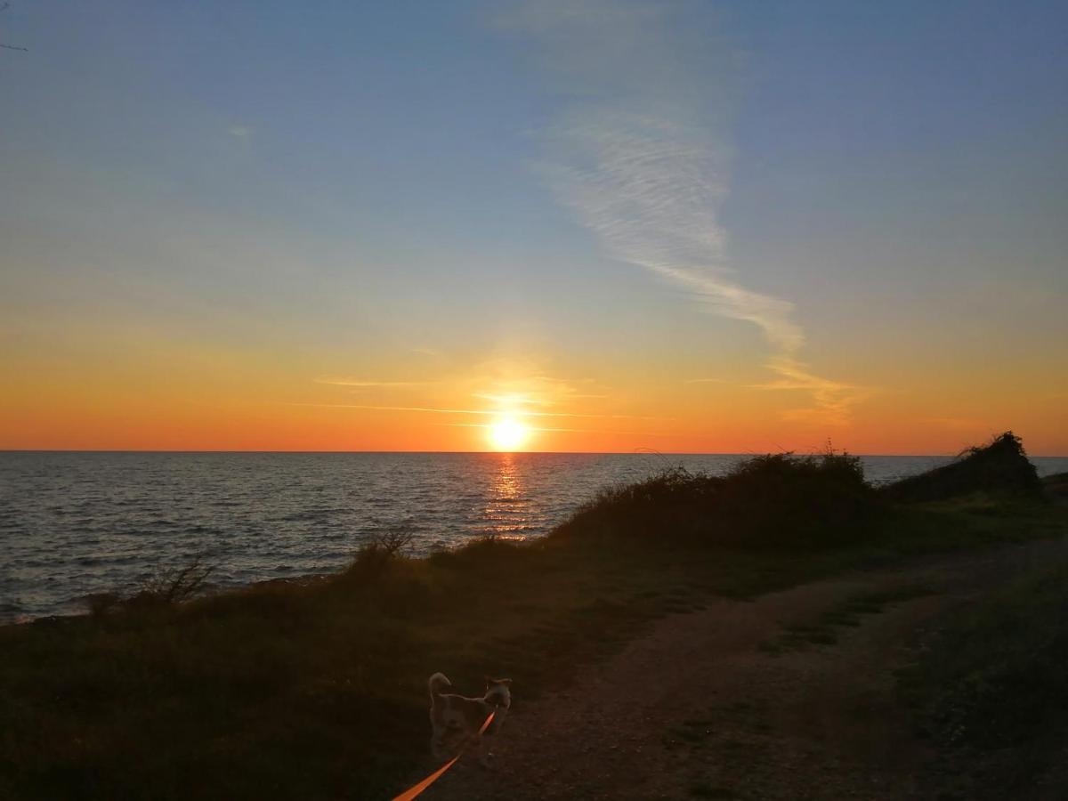 Appartamento App Palcic K Novigrad Istria Esterno foto