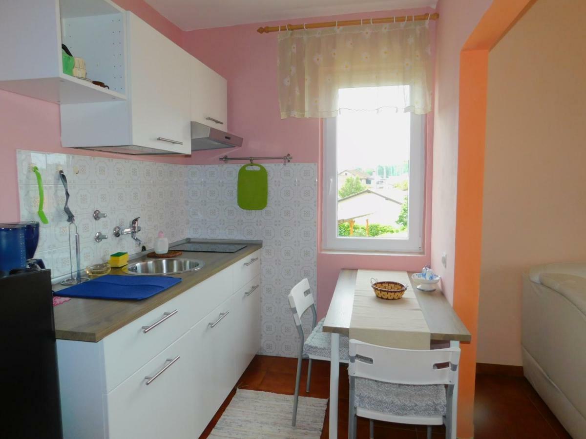 Appartamento App Palcic K Novigrad Istria Esterno foto