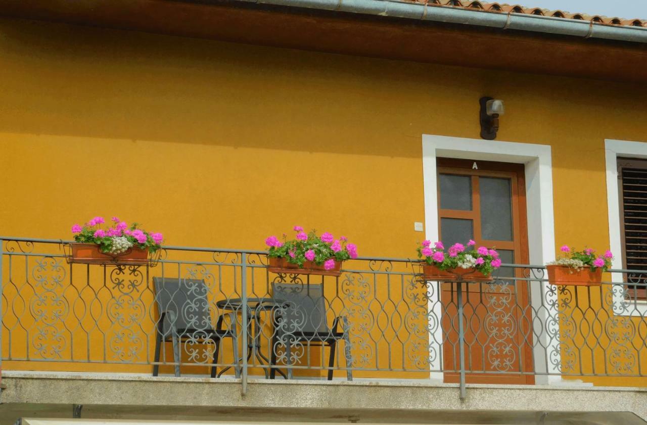 Appartamento App Palcic K Novigrad Istria Esterno foto